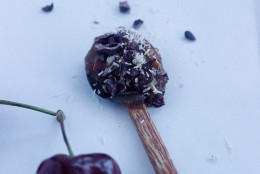 Chocolate Cherry Mousse (Simple Guilt-Free Dessert!)