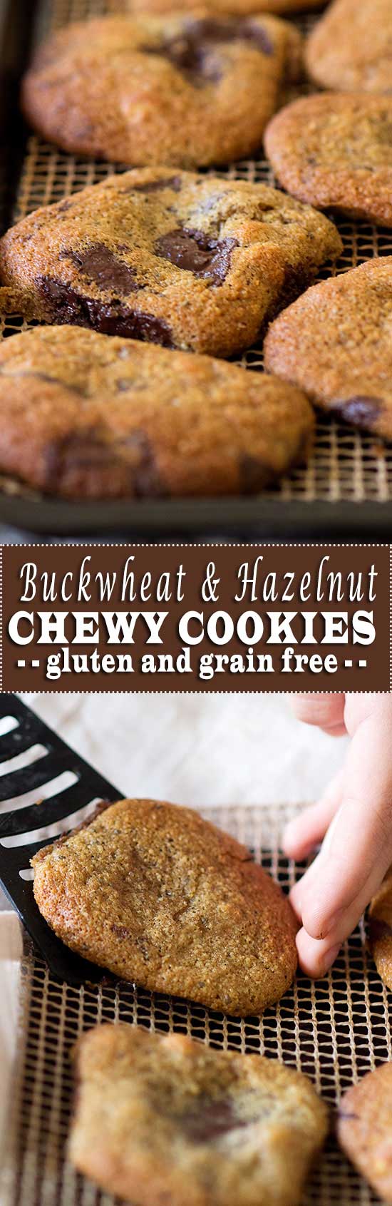 Chewy Buckwheat & Hazelnut Chocolate Chip Cookies from www.sprinkleofgreen.com #glutenfreecookies #buckwheat