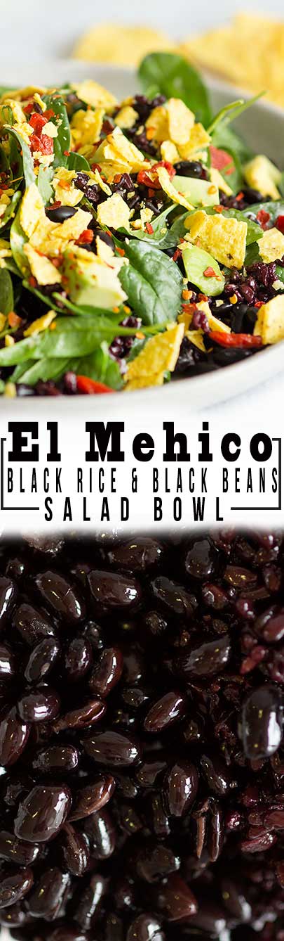 El Mehico Black Rice & Black Bean Salad | Crunchy and filling salad with goji berries, black beans, black rice, crushed corn tortillas and served with a delicious mint yogurt dressing! from www.sprinkleofgreen.com @teffyperk